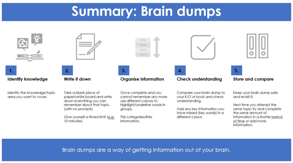 Brain Dumps