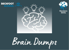 Brain Dumps