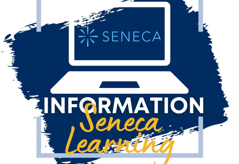 Seneca Learning