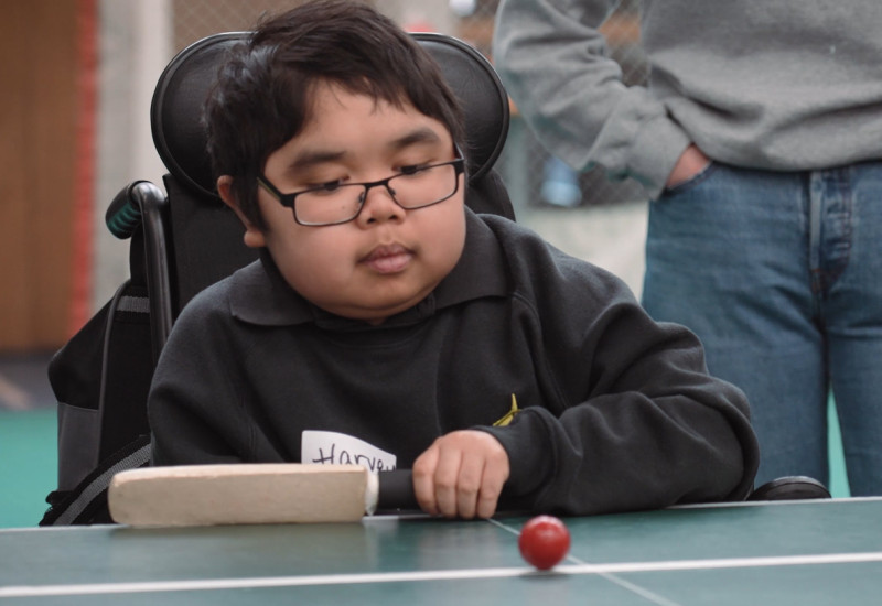 tablecricket