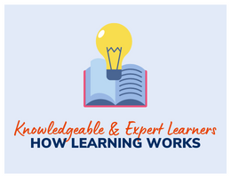 Knowledgeable & Expert Learners HOW LEARNING WORKS(29)